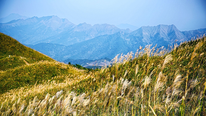 Vì sao Quảng Ninh trở thành điểm đến hấp dẫn bậc nhất miền Bắc sau COVID-19? - 4