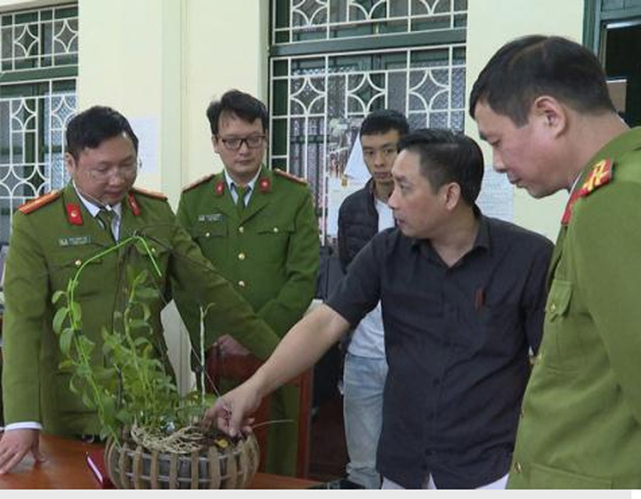 Lan phi điệp đột biến bạc tỷ quay ngoắt giảm giá, người mua ngậm 'trái đắng' - 1