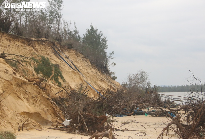 Ảnh: Cửa Lở lại lở tan hoang - 3