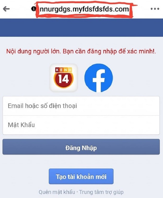 Cảnh báo các chiêu thức lừa đảo, chiếm đoạt tài khoản Facebook dịp cuối năm - 2