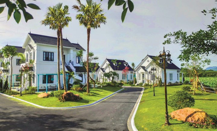 Uy tín chủ đầu tư TIG đứng sau dự án Vườn Vua Resort & Villas - 2