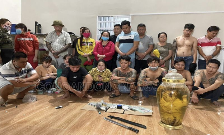 Phát hiện hổ ngâm nguyên con trong bình rượu tại sới bạc ở Đồng Nai - 1