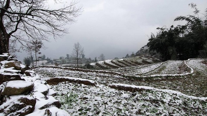 Vùng núi Bắc Bộ rét dưới 6 độ C, khả năng xảy ra băng giá, sương muối - 1