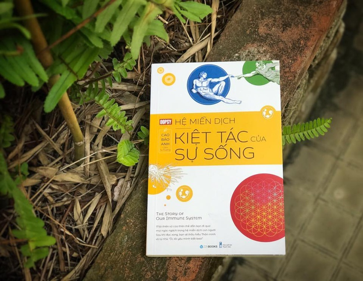 Nghiên cứu sinh Việt ở Harvard và thông điệp về những 'đáng lẽ' của tuổi trẻ - 1