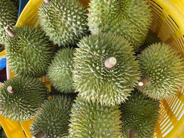 Trung Quốc vào tận vườn lùng mua, trái cây Việt tăng giá kỷ lục - 1