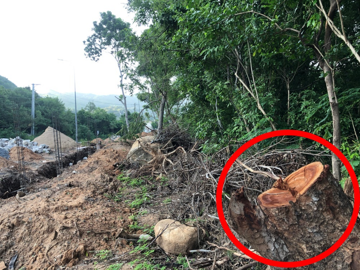 Ảnh: Nhiều khu nghỉ dưỡng xây tường chắn lối ra biển của dân Bà Rịa - Vũng Tàu - 3