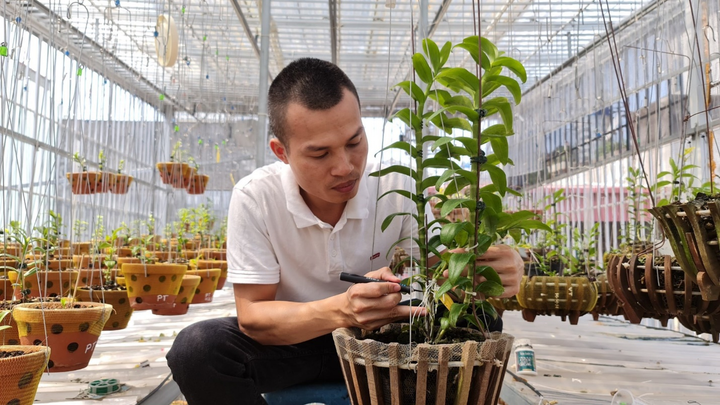 Doanh nhân Hoangnam Jsc: Tìm về hoa lan sau những áp lực công việc - 3