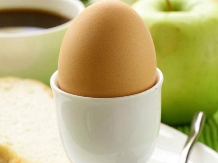 Có nên chọn trứng vịt thay cho trứng gà? - 3
