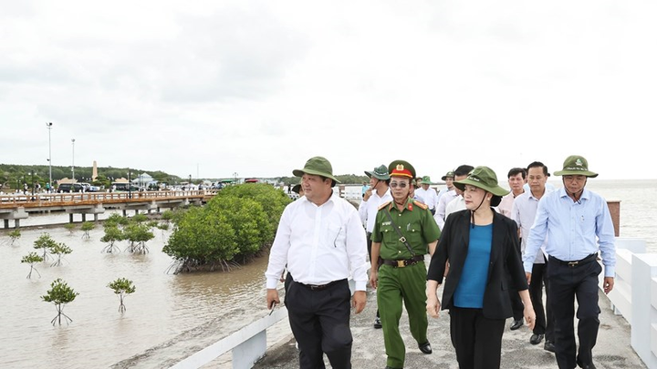 Cà Mau cần chủ động ứng phó biến đổi khí hậu, phòng chống sạt lở ven biển - 1