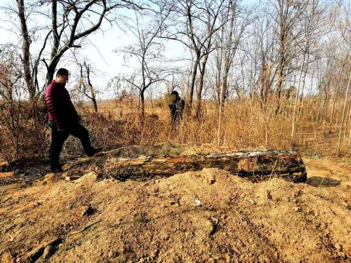 Bố mẹ đào hài cốt con gái chết 12 năm bán lấy tiền, đặt củ cải thay thế - 1