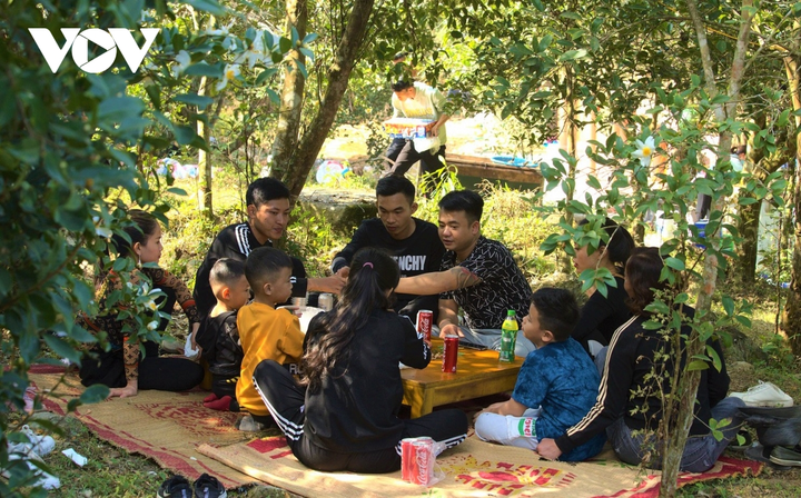 Ảnh: Hoa sở nở trắng rừng biên giới Bình Liêu - 12