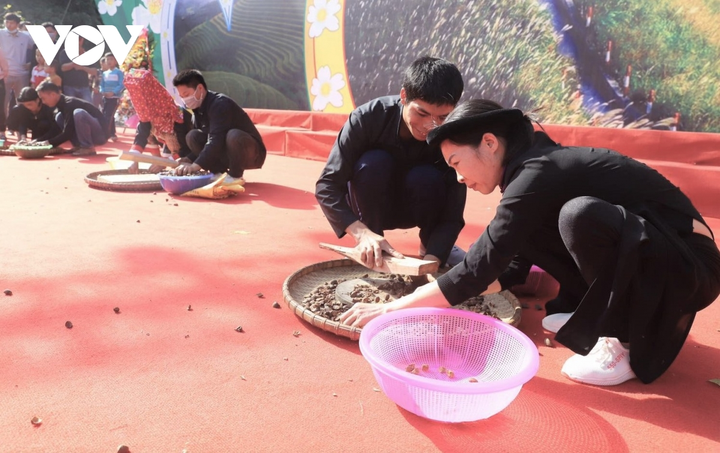 Ảnh: Hoa sở nở trắng rừng biên giới Bình Liêu - 17