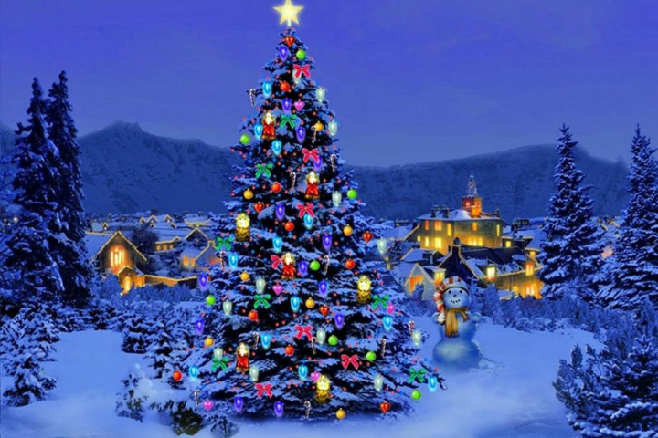 Cây thông Noel có nguồn gốc từ đâu? - 2
