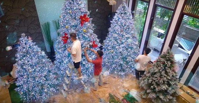 Biệt thự của Đàm Vĩnh Hưng đẹp lung linh mùa Giáng sinh 2020 - 10