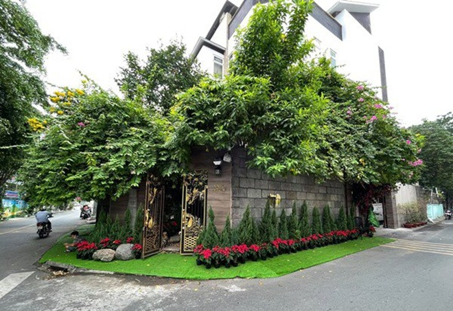 Biệt thự của Đàm Vĩnh Hưng đẹp lung linh mùa Giáng sinh 2020 - 4