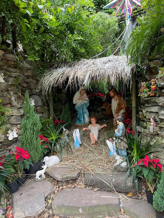 Biệt thự của Đàm Vĩnh Hưng đẹp lung linh mùa Giáng sinh 2020 - 6