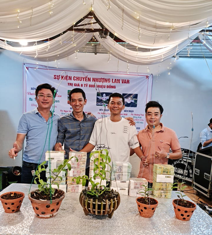 Đỗ Thế Chiên sở hữu vườn lan rừng tiền tỷ ở đất Bình Phước - 4