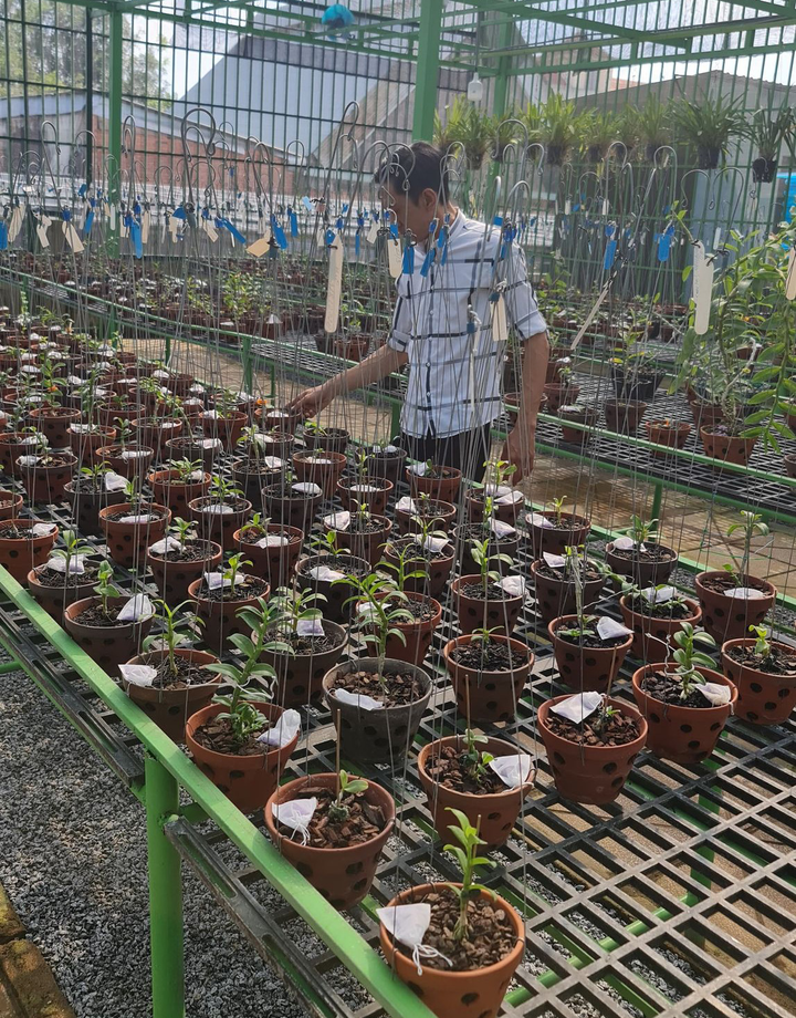 Đỗ Thế Chiên sở hữu vườn lan rừng tiền tỷ ở đất Bình Phước - 3