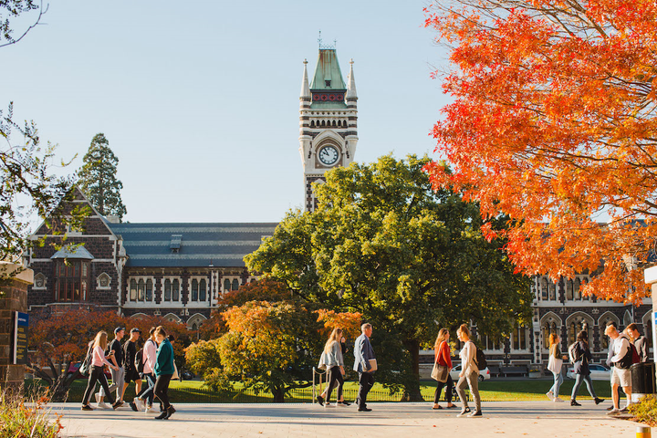 Chương trình dự bị đại học New Zealand tại Việt Nam có ưu điểm gì? - 1