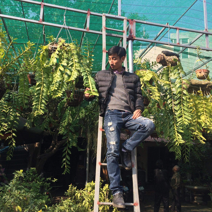 Louis Đức Trung và niềm đam mê hoa phong lan - 3