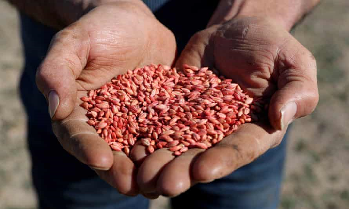 Căng thẳng leo thang, Australia kiện Trung Quốc ra trọng tài quốc tế - 1