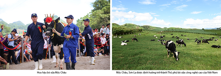 Cổ phiếu Mộc Châu Milk lên sàn sau 1 năm về với Vinamilk - 6