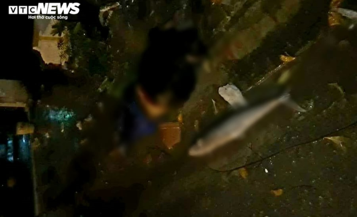 Tài xế ô tô gây tai nạn chết người rồi bỏ mặc nạn nhân trong đêm mưa rét - 1