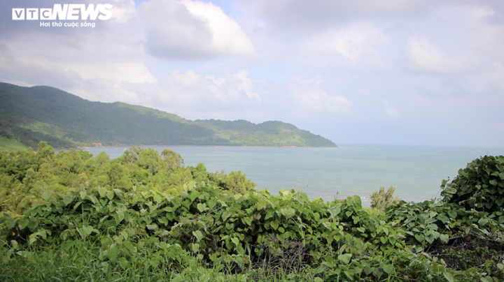 Thẩm định giá đất các dự án tại Sơn Trà theo kết luận của Thanh tra Chính phủ - 2