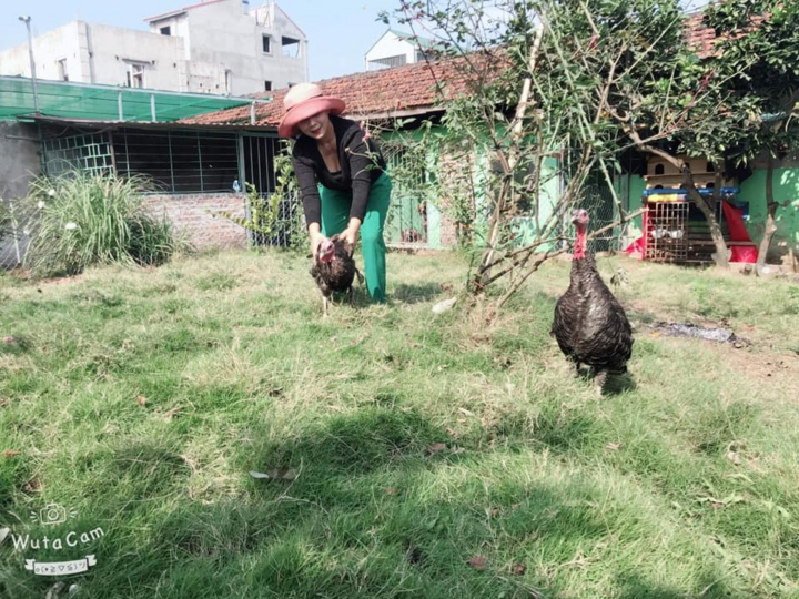 Nhà vườn ngập hoa trái của NSND Minh Hằng - 4