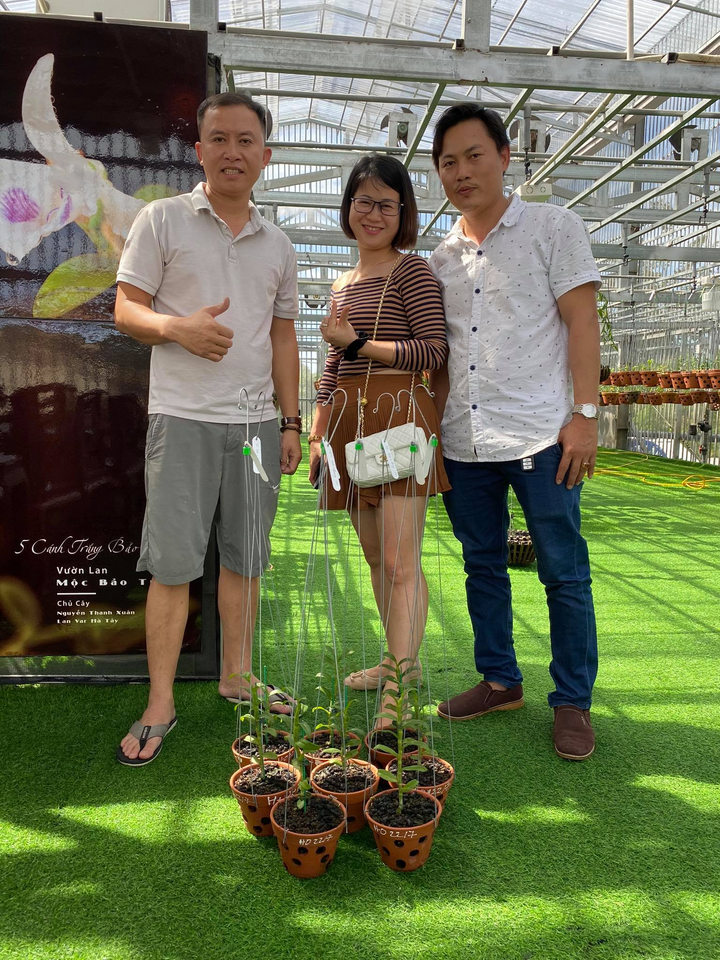 Bén duyên với lan đột biến, chàng trai Nguyễn Phú sở hữu khu vườn giá trị - 6