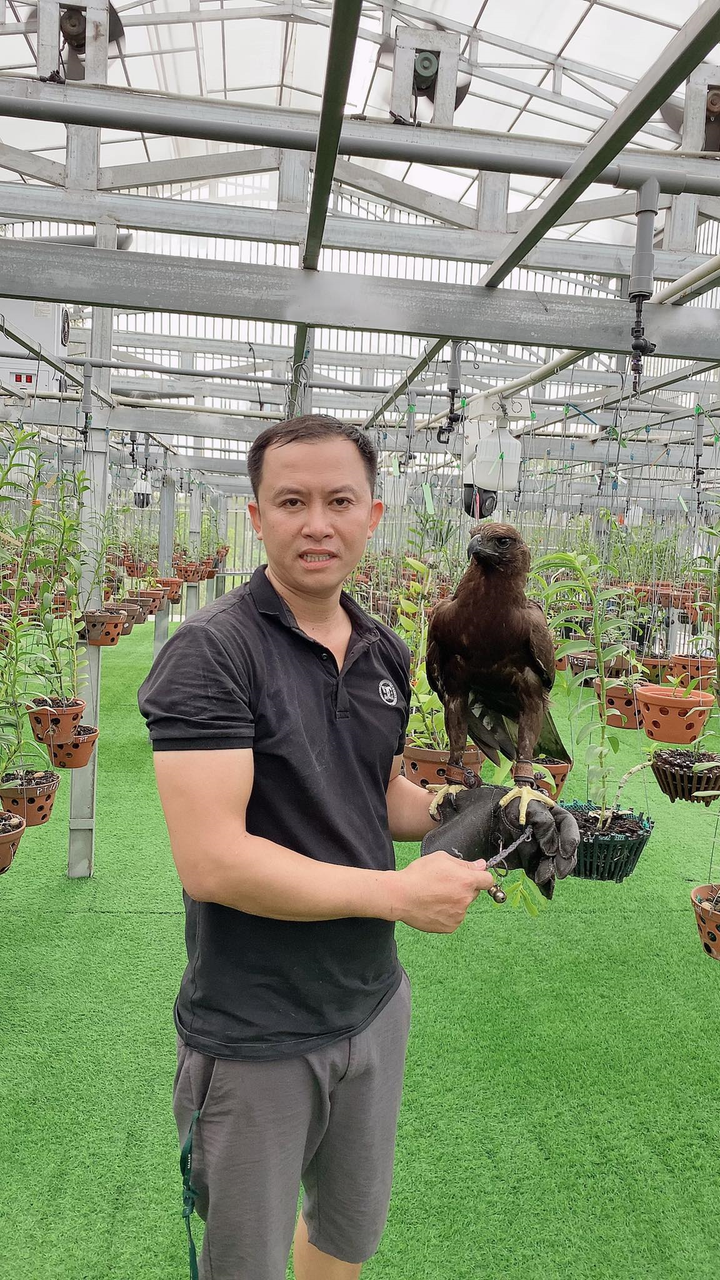 Bén duyên với lan đột biến, chàng trai Nguyễn Phú sở hữu khu vườn giá trị - 4