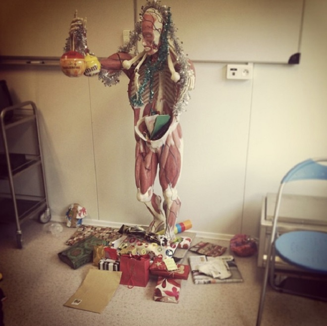 Ảnh: Những cây thông Noel 'lầy lội' chọc người xem phá lên cười - 8