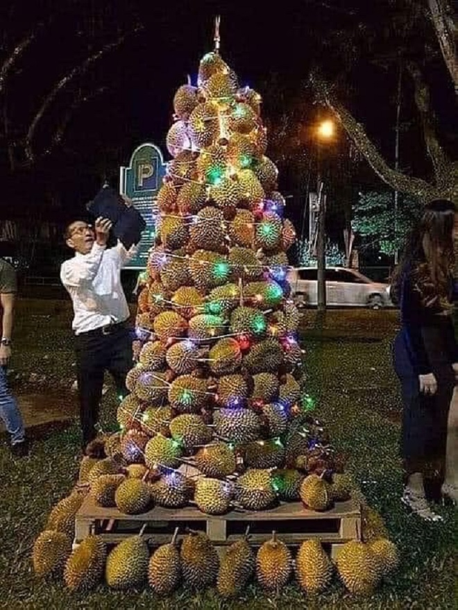 Ảnh: Những cây thông Noel 'lầy lội' chọc người xem phá lên cười - 10