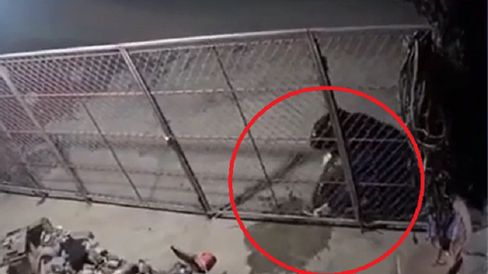 Khởi tố người đàn ông mang xăng đốt nhà hàng xóm ở Hưng Yên - 1