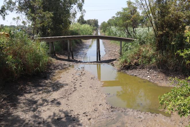Cuộc thi 'Hành động vì Mekong' tập trung vào những lĩnh vực nào? - 1