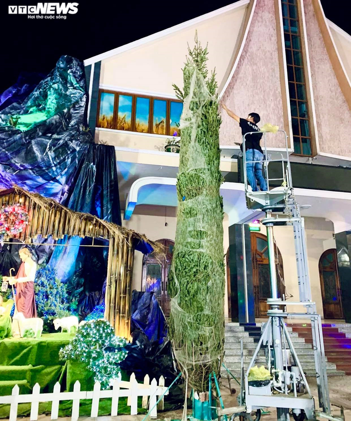 Ảnh: Cây thông tươi giá 47 triệu đồng về tới TP.HCM sau 45 ngày ướp đá từ Mỹ - 7