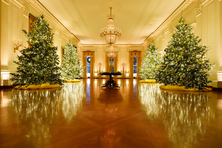 Ảnh: Chiêm ngưỡng trang trí Giáng sinh lộng lẫy ở Nhà Trắng - 9