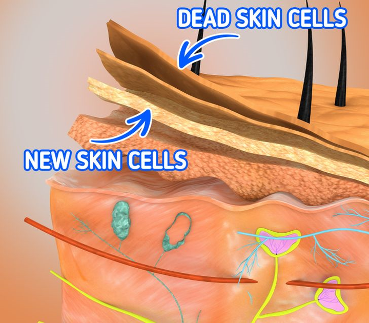Điều gì xảy ra nếu bạn chỉ rửa mặt mỗi ngày một lần? - 3