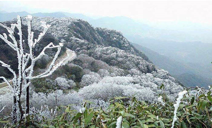 Miền Bắc rét đậm, rét hại, có nơi dưới 0 độ C - 1