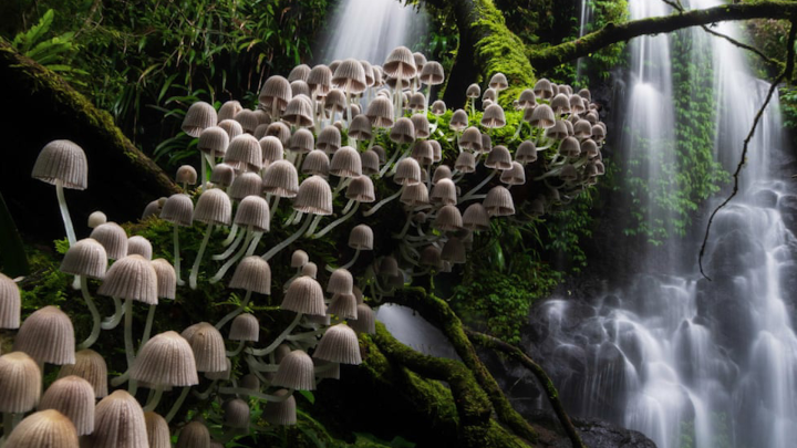 Khám phá với hơn 70 ảnh đẹp nghệ thuật thiên nhiên tuyệt vời nhất - Tin Học  Vui