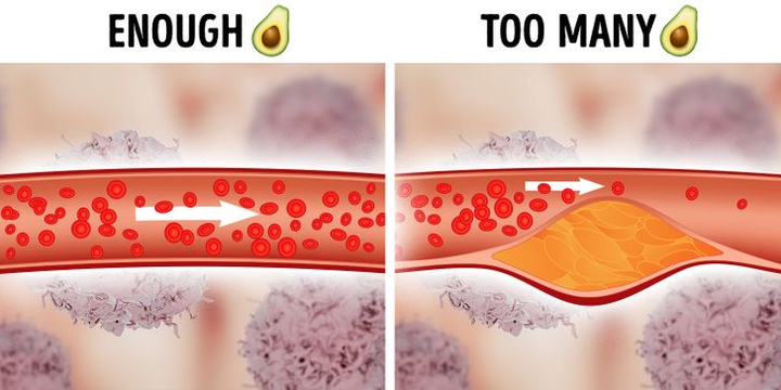 Những thực phẩm dù tốt cũng không nên ăn quá nhiều - 3