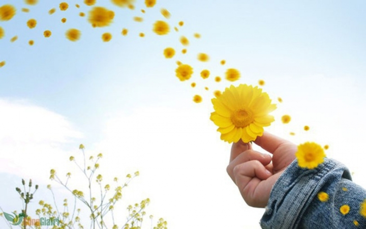 20 điều bạn cần rũ bỏ để có được hạnh phúc trong năm mới - 1