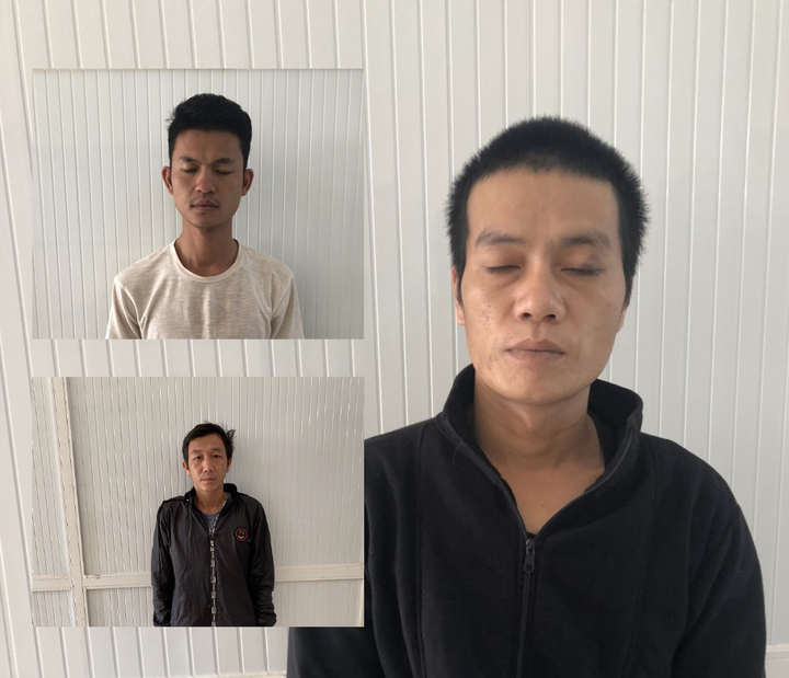 Bắt khẩn cấp 3 kẻ đục tường rào vào trường cao đẳng trộm cây cảnh - 1