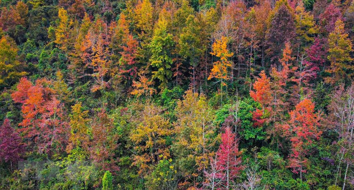 Khung cảnh mùa Đông đẹp mê hồn nơi biên cương Cao Bằng - 1