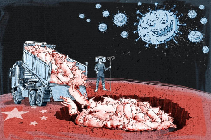 3/4 bệnh ở người có nguồn gốc từ động vật, bác sĩ thú y sẽ cứu thế giới? - 1