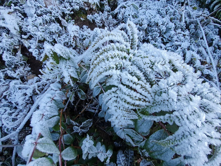 Không khí lạnh rất mạnh tràn về, miền Bắc bước vào đợt rét kỷ lục - 1