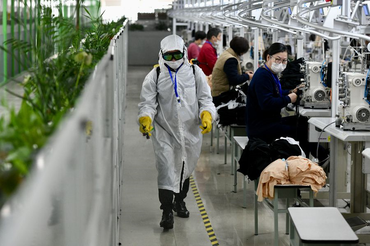 3/4 bệnh ở người có nguồn gốc từ động vật, bác sĩ thú y sẽ cứu thế giới? - 3