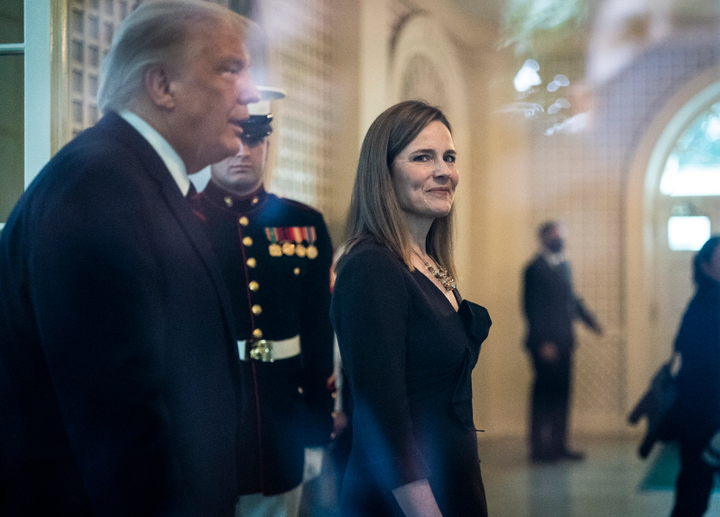 Năm 2020 của Tổng thống Donald Trump qua những bức ảnh - 8