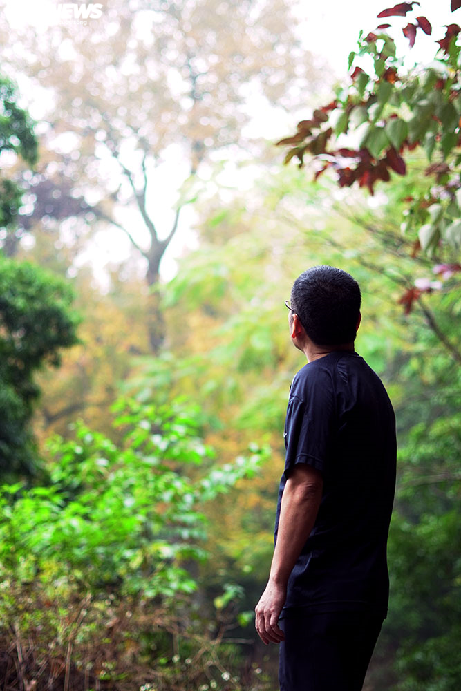 Chùm ảnh: Đẹp nao lòng những tán phong thay màu mùa lá đổ ở Hải Dương - 7