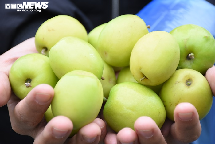 Đặc sản táo muối Hải Phòng 'cháy hàng', dân thu cả trăm triệu - 6